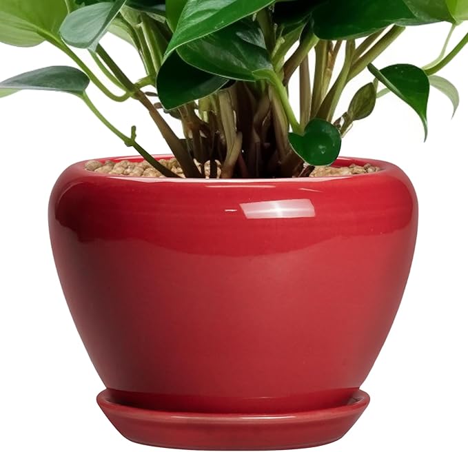 Nicexshop Modern Glazed Ceramic Planter 6 ,7,8,,9 Inch with Saucer