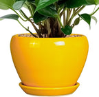 Nicexshop Modern Glazed Ceramic Planter 6 ,7,8,,9 Inch with Saucer