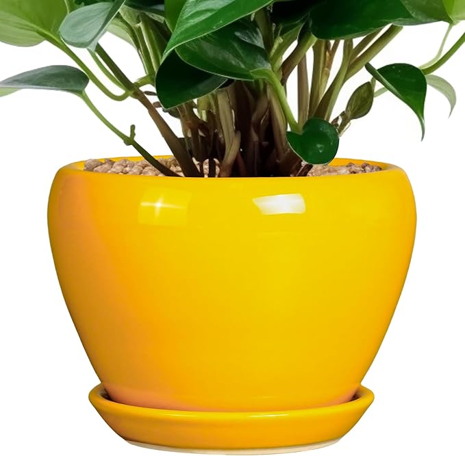 Nicexshop Modern Glazed Ceramic Planter 6 ,7,8,,9 Inch with Saucer