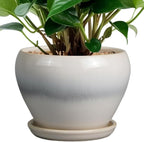 Nicexshop Modern Glazed Ceramic Planter 6 ,7,8,,9 Inch with Saucer