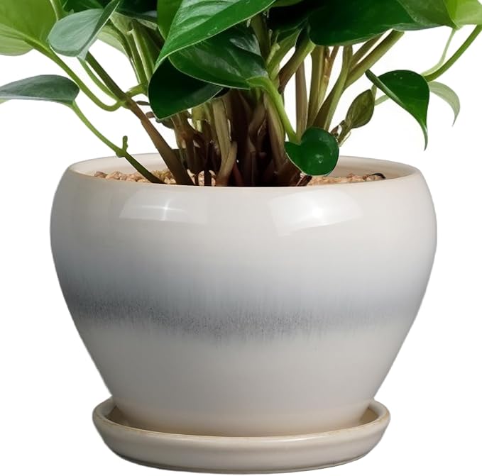 Nicexshop Modern Glazed Ceramic Planter 6 ,7,8,,9 Inch with Saucer