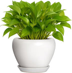 Nicexshop Deep Dream Modern Round Ceramic Flower Planter