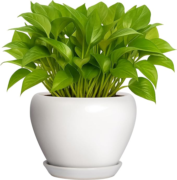 Nicexshop Deep Dream Modern Round Ceramic Flower Planter