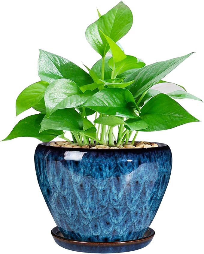 Nicexshop Modern Glazed Ceramic Planter 6 ,7,8,,9 Inch with Saucer