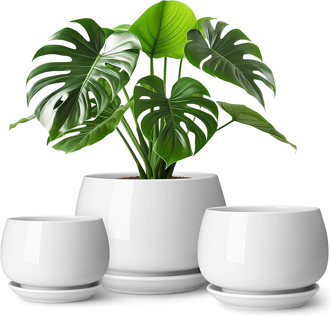 Nicexshop Indoor White Ceramic Planters 3.7 4.8 6.2 Inch