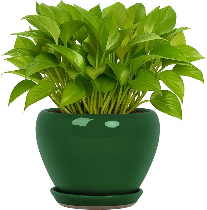 Nicexshop Deep Dream Modern Round Ceramic Flower Planter