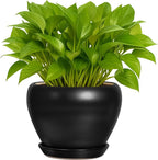 Nicexshop Deep Dream Modern Round Ceramic Flower Planter