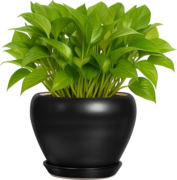 Nicexshop Deep Dream Modern Round Ceramic Flower Planter