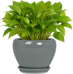 Nicexshop Deep Dream Modern Round Ceramic Flower Planter