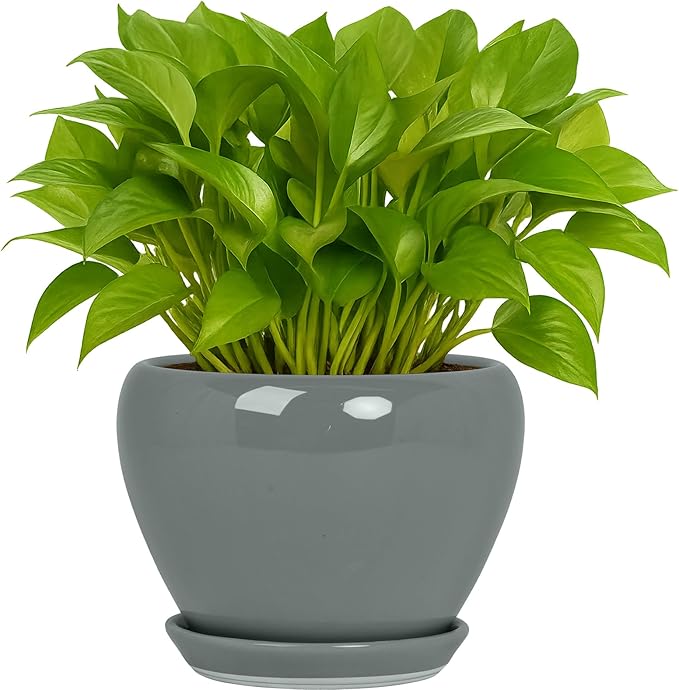 Nicexshop Deep Dream Modern Round Ceramic Flower Planter